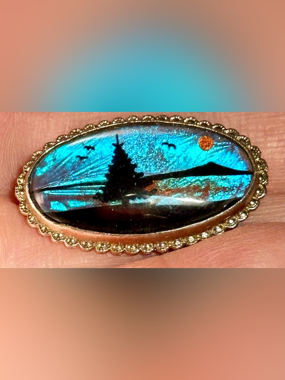 Vintage Butterfly Wing Brooch / Pin Stunning